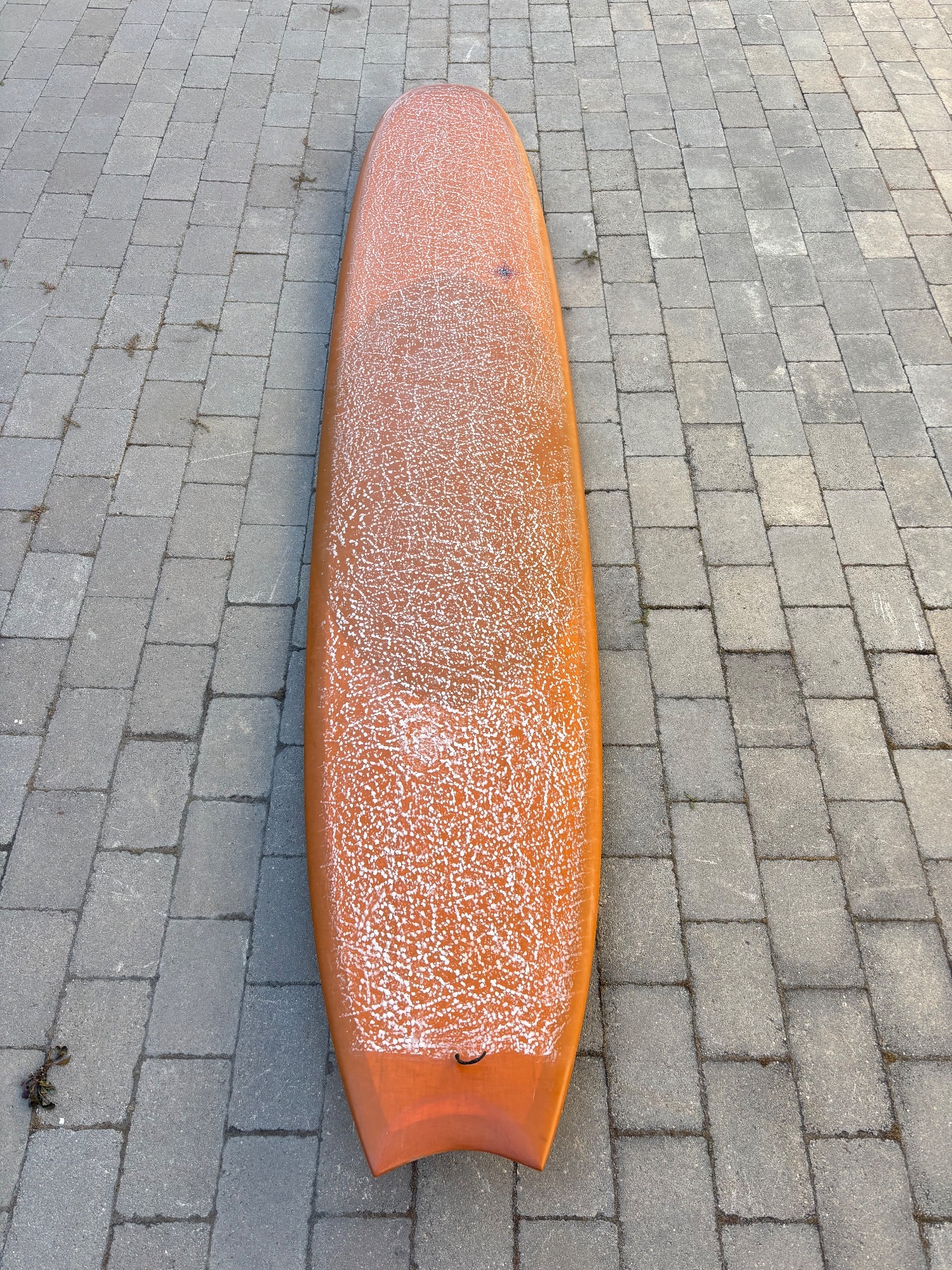 9’4 Wildcard Wayne Rich (4 of 8)