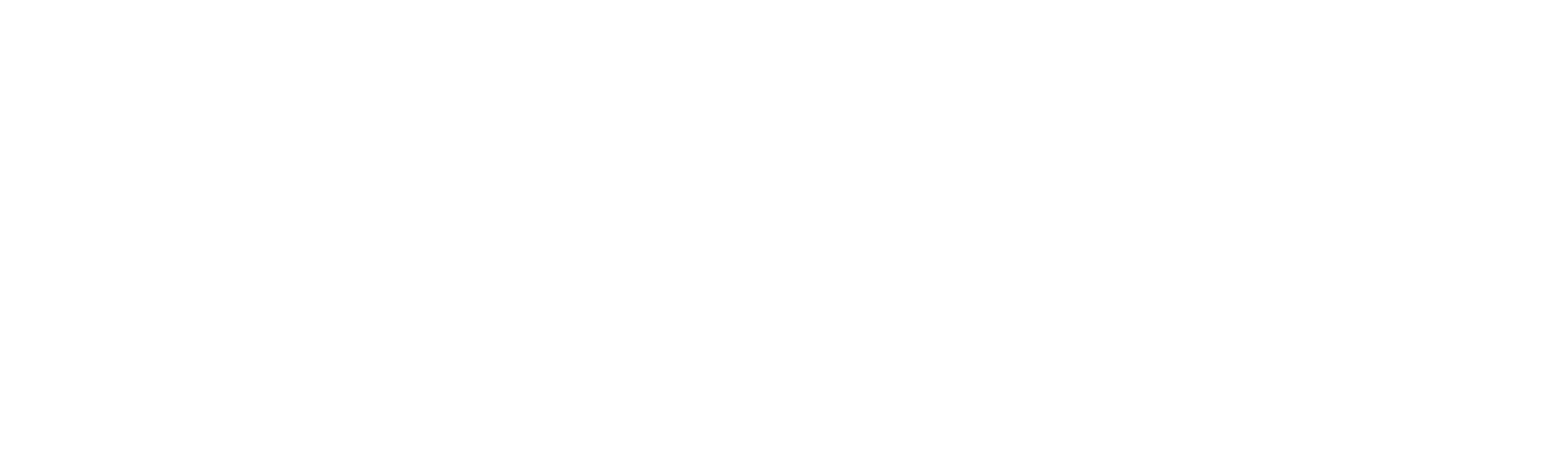 Barrette Surfboards logo